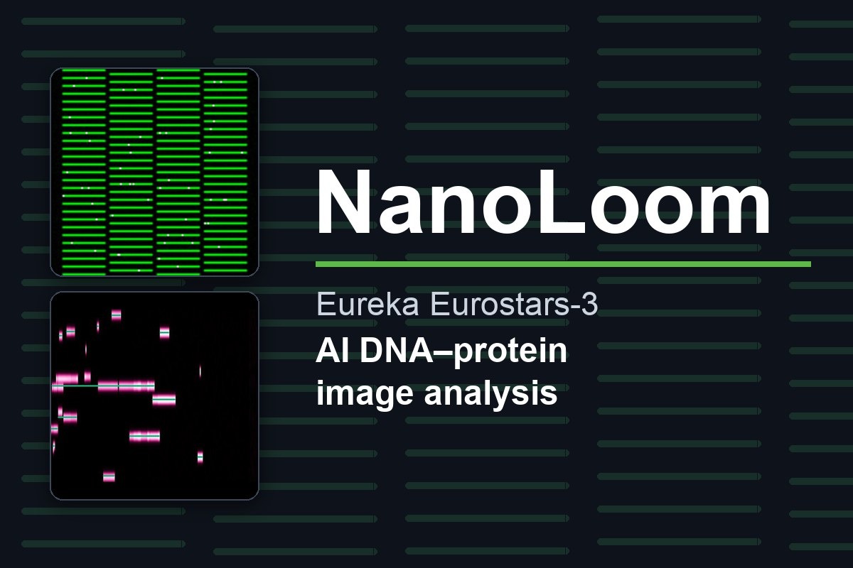NanoLoom: Yapay Zekâ Destekli Tek Molekül DNA-Protein Etkileşim Analizi