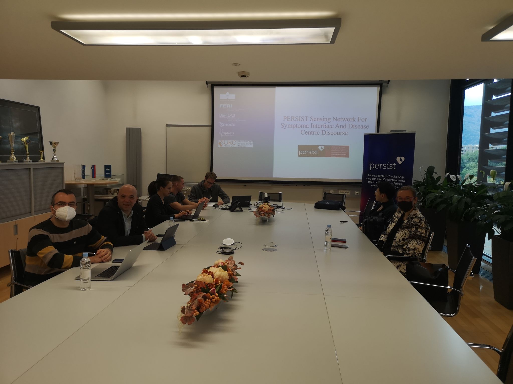 Emoda Software , Sypmtoma, UKC Maribor WP4/WP5 co-creation workshops